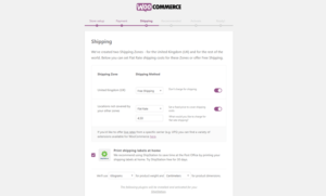 un site e-commerce WP